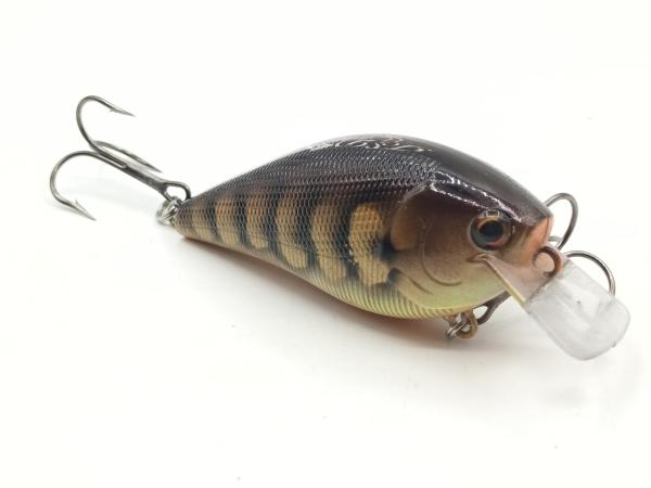 Carp 9cm